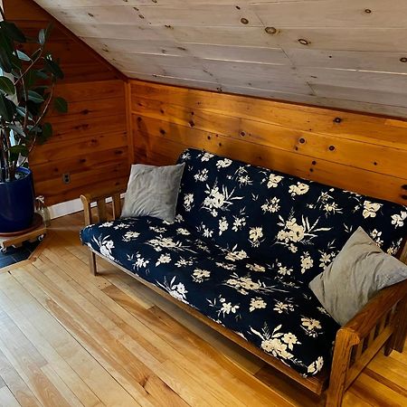 Bright And Cozy Treehouse Apartment 伯灵顿 外观 照片