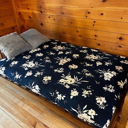 Bright And Cozy Treehouse Apartment 伯灵顿 外观 照片