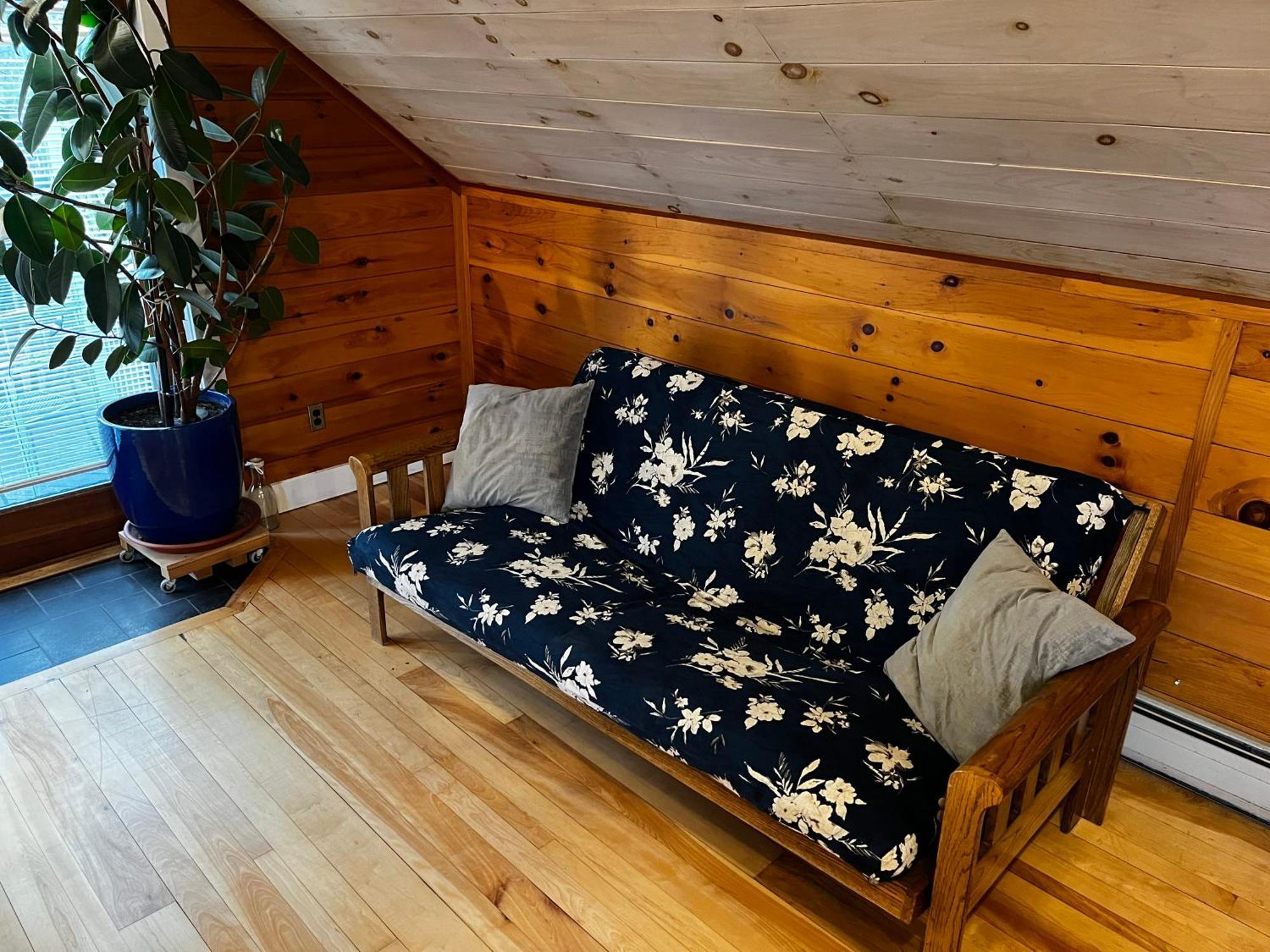 Bright And Cozy Treehouse Apartment 伯灵顿 外观 照片